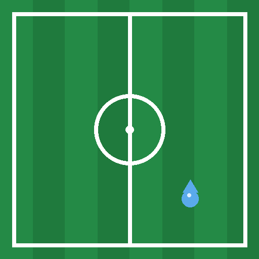 O gramado